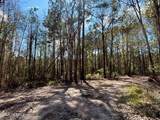 37125 Anna Marie Lane - Photo 11