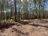 37125 Anna Marie Lane - Photo 12