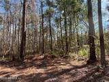 37125 Anna Marie Lane - Photo 13