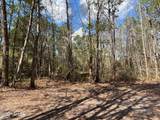 37125 Anna Marie Lane - Photo 14