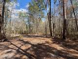 37125 Anna Marie Lane - Photo 15