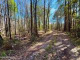 37125 Anna Marie Lane - Photo 18