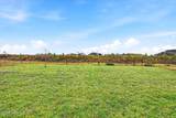 9960 Lovage Lane - Photo 24