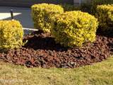 144 Goldenrod Park Road - Photo 5