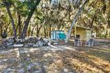 126 Palmetto Trail - Photo 36