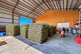 3938 Sunset Sky Road - Photo 50