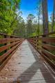 222 Palm Island Way - Photo 46