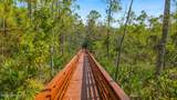 222 Palm Island Way - Photo 47