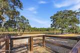 214 Pepperpike Way - Photo 56