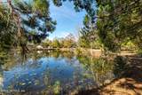 11053 Mulberry Landing - Photo 88