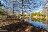 11053 Mulberry Landing - Photo 89