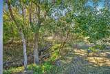 11049 Old Kings Road - Photo 64