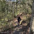 3760 Old Jennings Road - Photo 11