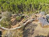 844 Cloudberry Branch Way - Photo 53