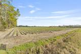 0 Carter Crabtree Road - Photo 3