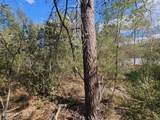 416 Mourning Dove Road - Photo 6