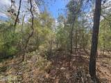 416 Mourning Dove Road - Photo 7
