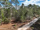 416 Mourning Dove Road - Photo 9