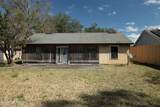 1380 High Plains Drive - Photo 6
