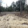 205 London Avenue - Photo 3
