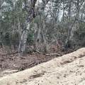 205 London Avenue - Photo 4