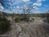 00000 Citrus Drive - Photo 12