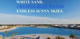 204 Waterline Drive - Photo 75