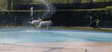 204 Waterline Drive - Photo 84