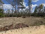 131 Quail Way - Photo 6