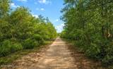 0 Nell Road - Photo 4