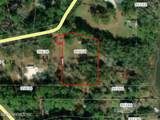 95654 Tyson Road - Photo 11