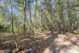 PARCEL 6 Pine Island Rd Road - Photo 9