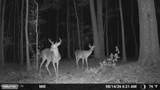 O Lazy Pines Road - Photo 12