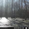 O Lazy Pines Road - Photo 17