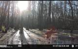 O Lazy Pines Road - Photo 18