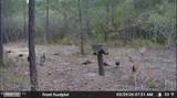 O Lazy Pines Road - Photo 19