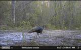 O Lazy Pines Road - Photo 20