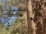 0 Honeysuckle Trail - Photo 1