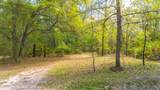 0 County Road 218 - Photo 14