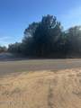 123 Ellen Avenue - Photo 2