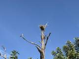 1800 The Greens Way - Photo 44