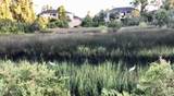 1800 The Greens Way - Photo 47
