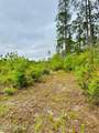 2857 Steel Bridge Road - Photo 29