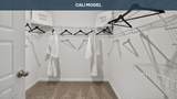 4479 White Ibis Lane - Photo 19
