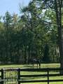 7006 County Road 208 - Photo 46