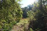 525 Raulerson Road - Photo 4