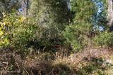 525 Raulerson Road - Photo 7