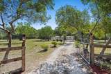 2439 Quarterhorse Trail - Photo 2