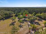 2439 Quarterhorse Trail - Photo 41