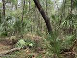 00 Old Woods Road - Photo 2